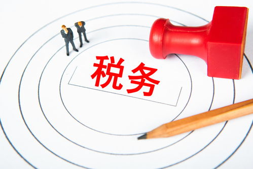 如东税务个性化服务助力重大项目建设