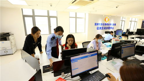 明光 智慧税务 打造税费服务新场景