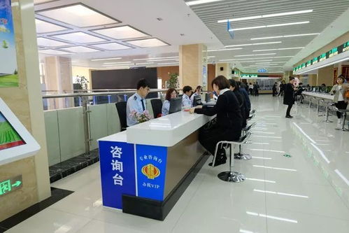 纳税咨询预审 服务群众 零距离