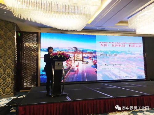 泰国 重庆 投资机遇说明会 助力渝企 走出去